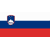 Slovenski jezik